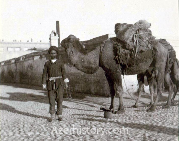 Dəvə sarvanı Bakı küçələrində <br> © Погонщик-верблюдов, 1900
